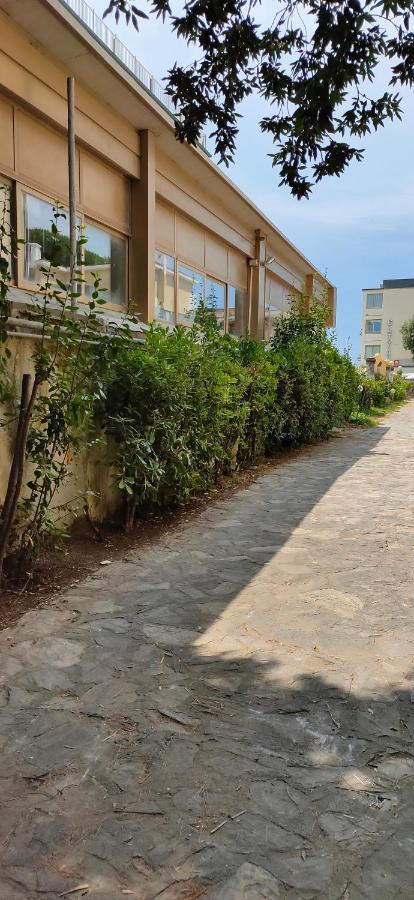 Caravel Monolocale Villa Camaiore Bagian luar foto